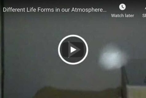 1different-life-forms