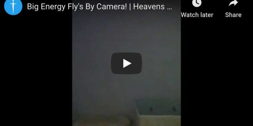 Voice Says” Look at That”