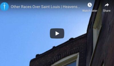 other-races-Saint-Louis other-races-Saint-Louis