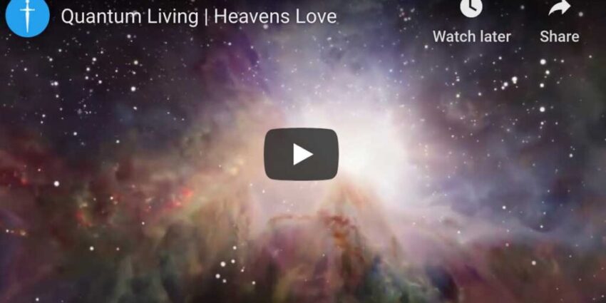 quantum-living Quantum Living