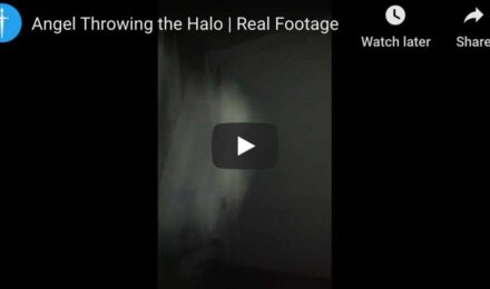 throwing-halo-realfootage