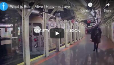 what-being-alive-is what-being-alive-is