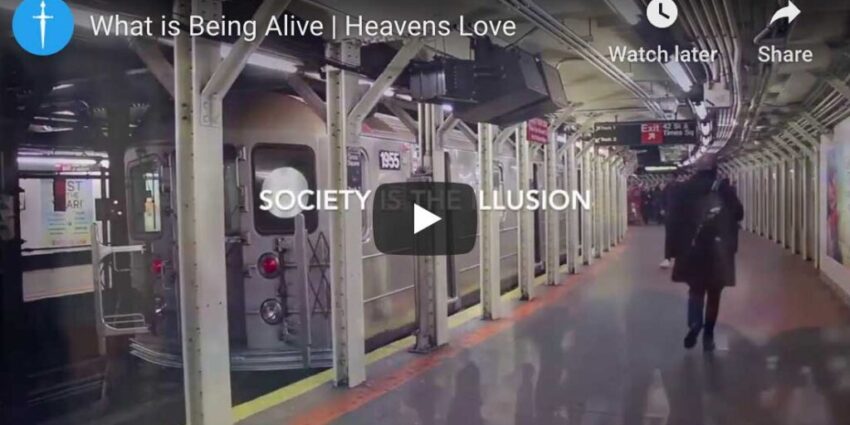 What Being Alive is Video