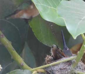 Day 10 May 15, 2021 Day 10 May 15, 2021