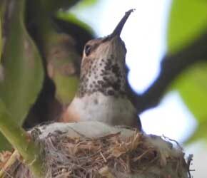 Day 13 May 18, 2021 Day 13 May 18, 2021