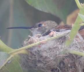 Day 12 May 17, 2021 Day 12 May 17, 2021