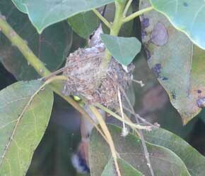 Mate Visits Day 19 May 24, 2021 Mate Visits Day 19 May 24, 2021