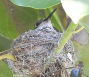 Day 24 May 29, 2021 Day 24 May 29, 2021