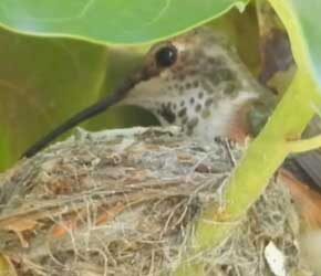 Day 2 Feeding Babies Day 2 Feeding Babies