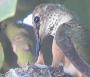 Day 8 of Feeding Day 8 of Feeding