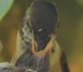 Day 9 of Feeding Day 9 of Feeding