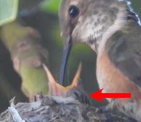 Day 10 of Feeding Eyes Open Day 10 of Feeding Eyes Open