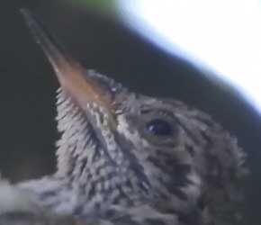 Day 13 of Feeding Day 13 of Feeding