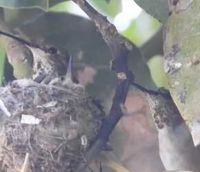 Day 17 Mate Visits Day 17 Mate Visits