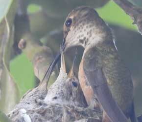Day 19 Ready for Flying Day 19 Ready for Flying