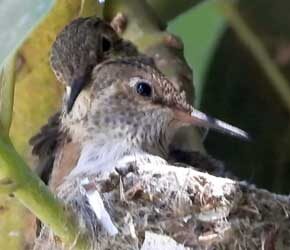 Day 21 Its Time! Day 21 Its Time!