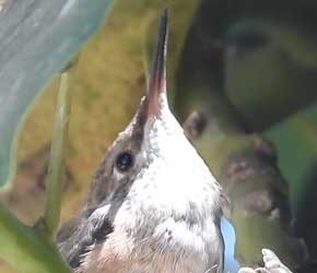 Day 22 Even More Ready to Fly Day 22 Even More Ready to Fly