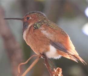 September 7, 2021 September 7, 2021