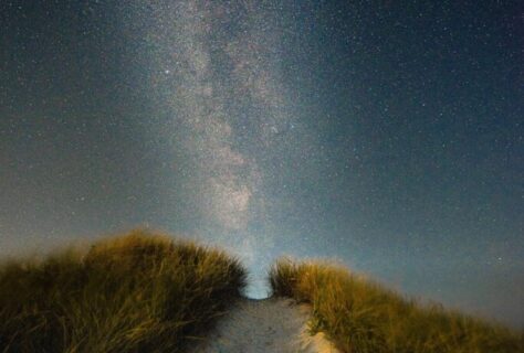 pexels-tobias-dotzer-9076924