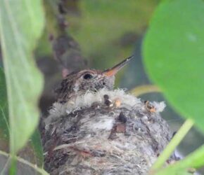 June 4, 2023 June 4, 2023